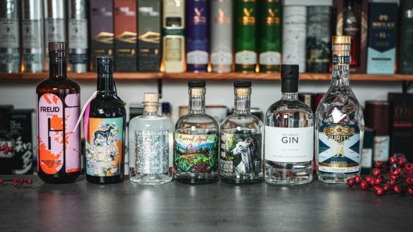 Bild Gin Tasting 30.11.