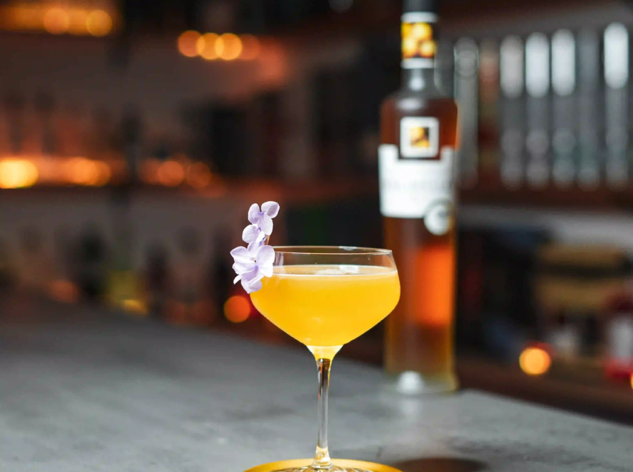 Ein Bild des "Fresh Marille" Cocktails nach einem Rezept von David Gran