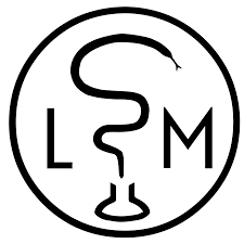 Logo LSM