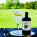 SUMMER CITRUS SPRITZ