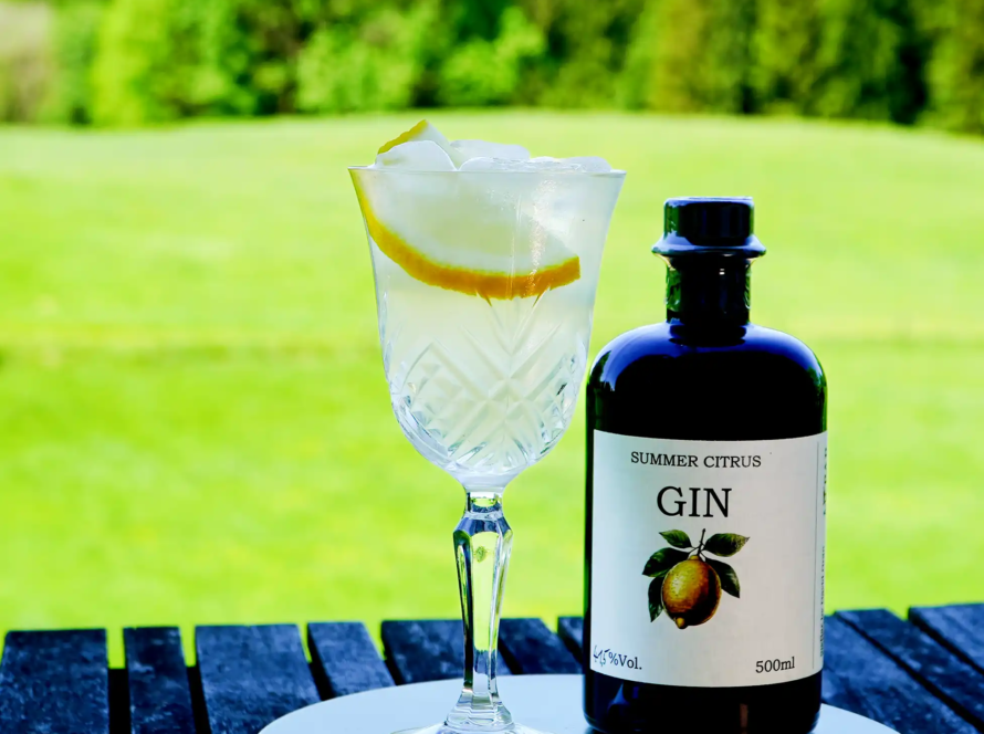 Ein Bild des Summer Citrus Spritz Cocktails.